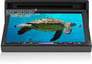 XO Vision XOD1736 Image 3