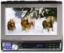 Alpine CVA-1014 + PKG-RSE1 Image 3