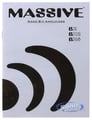 Massive Audio B2 Image 5