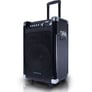 Technical Pro WASP1050UIBT Image 1