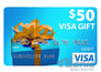 NAV-TV NTV-KIT389 + Free $50 Visa Gift Card Image 6