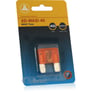 JL Audio XD-MAXI-40  - New (Damaged Packaging, Product A+) Image 2