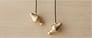 Final Audio Design Piano Forte VIII G (Brass) Image 1