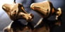 Final Audio Design Piano Forte X-G G (Gold Plated Chromium Copper) Image 3