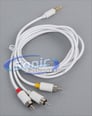 Absolute AV-RCA Image 1