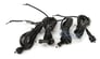 Audiovox PSB110 Image 5