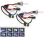 HID Xenon Light by Absolute H11 10000K (H11-1-10000K) Image 1
