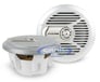 Alpine Marine SPR-M700 Image 1