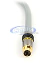 Monster Cable S-Video Cable (M500V S-4M) Image 2