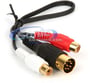Peripheral PXDX2 Image 4