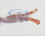 Monster Cable XPHP-CI BIG-100 Image 2