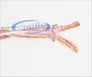 Monster Cable XP-CI BIG-100 Image 2