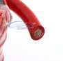 Absolute P0-20 (Red) Image 3
