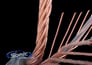 Monster Cable 402 Speaker Cable (MPC S402 2C 250) Image 4