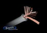 Monster Cable 402 Speaker Cable (MPC S402 2C 250) Image 3