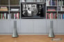 Zikmu Parrot PF550030AA (Gray) Image 3
