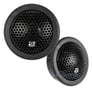 Massive Audio CT 2 Image 1