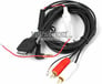 PAC iC-RCA Image 2