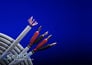 Monster Cable MCX1s BWML-15/15 Image 1