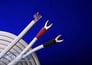 Monster Cable MCX2s-500 Image 1