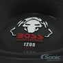 (2) Boss P10SVC with Sealed Dual Enclosure Image 4