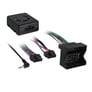 Axxess LC-BMRC-01 Wiring Interface Image 1