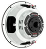 American Bass Titanium 1244 (TM-1244) Image 4