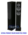 DLS R55BMF (Black Foil Finish) Image 1