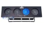 Chauvet DJ Bank R/B Image 4