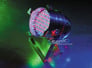 American DJ 64P LED PRO (High Polish) Image 3