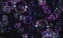 American DJ BUBBLE BLAST JR. Image 6