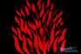 American DJ FIRE FOX Image 4