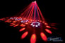 American DJ QUAD GEM LED DMX Image 2