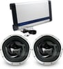 Blaupunkt THA1350 + (2) Sony XS-L123P5B Subwoofers Image 1