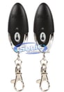 Crimestopper RS-2G2 Image 2