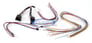 Fortin EVO-CHR-T1 (EVO-CHR) Image 4