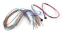 Fortin INTSL+ Image 4