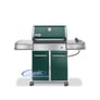 Weber 3747001 (Dark Green) Image 2