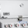 Weber 7320001 Image 2