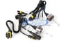 Race Sport Accessories H10-6K-SB-RB Image 1