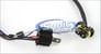 Race Sport Accessories HILOCANC-H4 Image 2