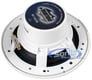 Rockford Fosgate RF Marine M162S Image 4