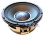 ElectroVoice EVM10dlx Image 1