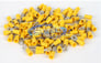 Xscorpion RTT10Y Image 1