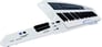 Roland AX-SYNTH (Pearl White) Image 2
