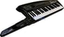 Roland AX-SYNTHBK Image 2