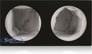 12DSPF Dual 12-inch Sub Box Open Box Image 6