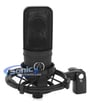 Audio Technica AT4040 Image 1