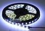 Race Sport Accessories RS-3528-5MW Image 2