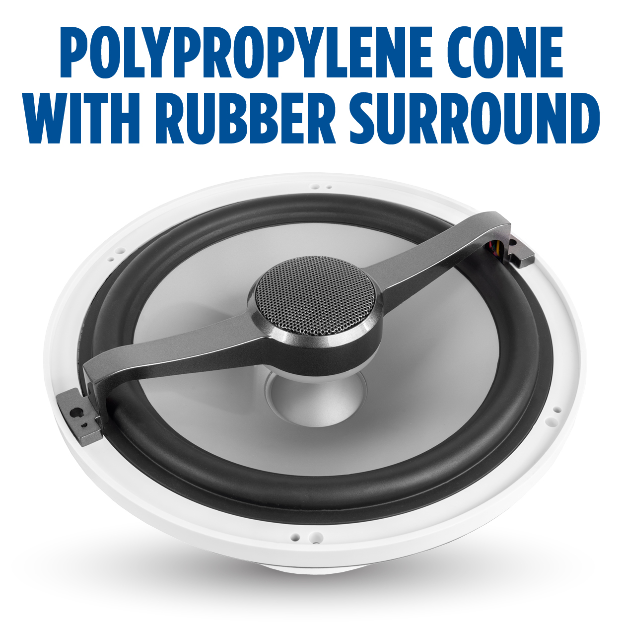 Polypropylene Cone with Rubber Surround